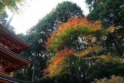 岩船寺の紅葉